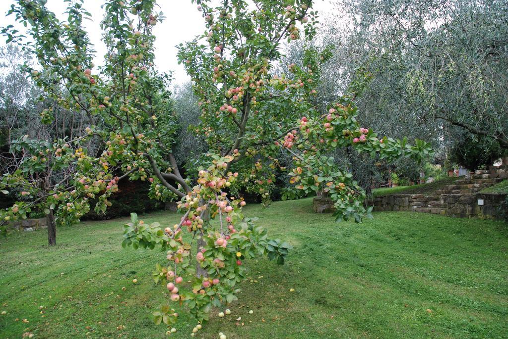 Podere Le Buche Pelago Exteriér fotografie