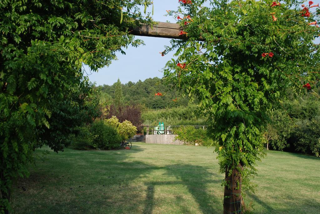 Podere Le Buche Pelago Exteriér fotografie